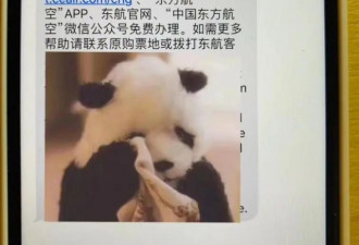 “我们要回国！”减航政策一再延期