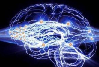 脑机接口或1年内植入人脑 可修复大脑问题