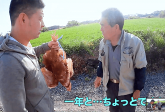 仨日本小哥带着只鸡躲疫情 荒岛求生1个月