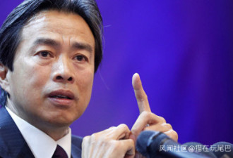 驻以色列大使去世，华春莹发文悼念