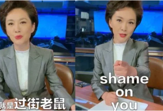 热帖：海外华人都要跟CCTV恶补中文