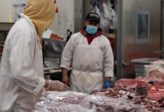 “混乱+疯狂” 全球多国肉类工厂都爆发了病毒