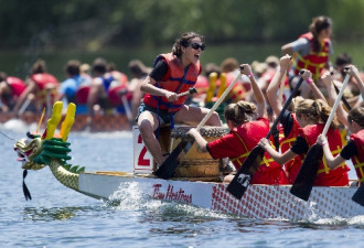 今年多伦多龙舟节被迫取消