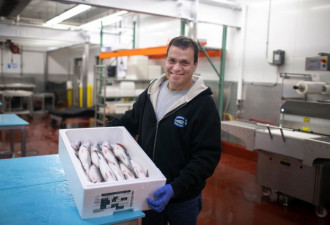 疫情期美民众爱上吃海鲜 海鲜销售额同比增37%
