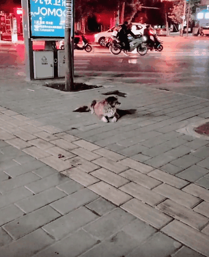 【爆笑】千万不要随意摸女生的脸！否则...
