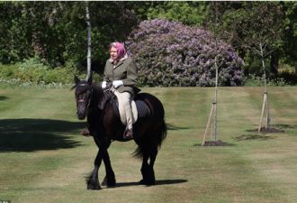 英女王骑着她心爱的小马驹 首次户外露面
