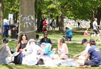 多伦多在公园草地上涂画“社交距离圈”