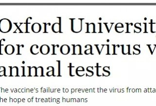 牛津疫苗宣告失败 实验猴全部感染新冠!