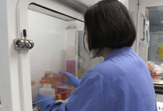 英国牛津大学研发疫苗 猴子注射后产生病毒抗体