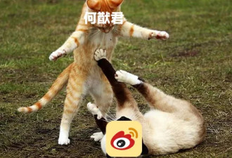 赌王儿子被骂“不孝”上热搜，竟是遭微博陷害