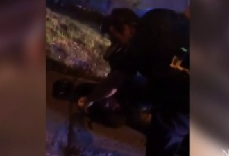 视频:加拿大非裔男子被警察扯住头发强行拽下车