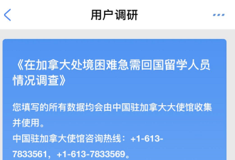 中驻加使领馆：增加回国包机 登记截止6月10日