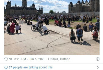 加拿大总理杜鲁多参加反种族主义示威!屈膝下跪