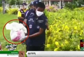 泰国一新生儿被弃后遭巨蜥活吞分尸