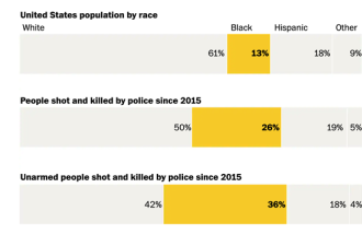 美国警察执法，究竟有没有系统性种族歧视？