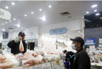 政府官宣：悉尼鱼市场改造真的要来了！