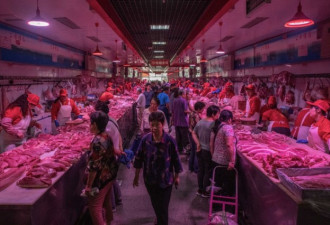 中国能实现全面取缔野生动物交易的承诺吗？