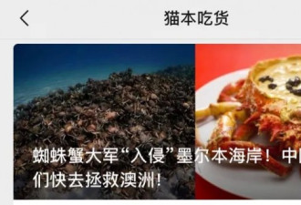 大批华人扎堆澳洲海岸捕捞蜘蛛蟹！