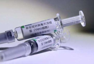 如果中国成为首个出售疫苗的国家...