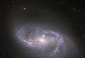 新研究：银河系至少36个可交流智慧种族