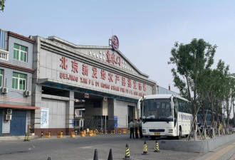 北京新增本土例，海鲜市场为何成爆发地？