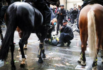 伦敦示威意外 女警遭马抛飞重摔在地