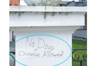 中文学校被涂鸦：华人与狗不得入内