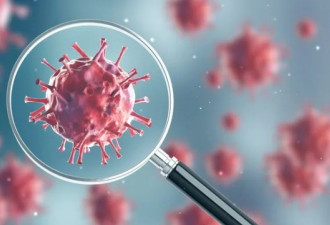 传染性更强，科学家发现新冠病毒新毒株