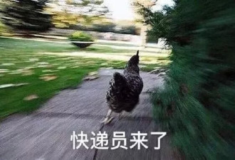 6.18大型买家秀翻车现场，笑抽了哈哈哈