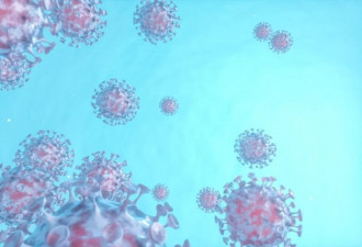 为什么有人身处新冠病毒高风险环境却未感染？