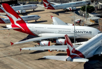 注意！旅行禁令延长，澳航国际航班被取消