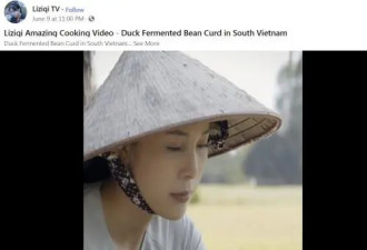 李子柒视频被剽窃 外国人还以为她是越南人