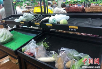 新发地休市，北京蔬菜涨价了？要囤菜吗?