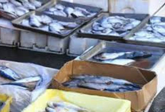 海鲜市场管理 日本德国挪威均有套严格管理办法