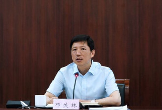 周日打虎！重庆副市长、公安局长邓恢林落马