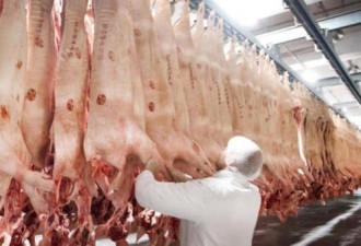 德国最大肉类加工厂暴发聚集性感染 确诊657人