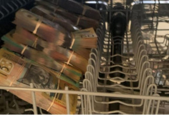 如此“洗钱”？新州警方查缴大量毒品枪支