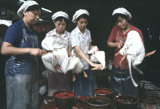 1977年老照片：那时候的人们都是这样子