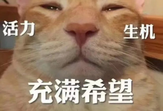 牛！矿工大叔挖出绝世宝石秒变亿万富翁