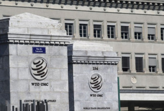 中国弃WTO市场经济地位诉讼 欧盟将祭报复关税