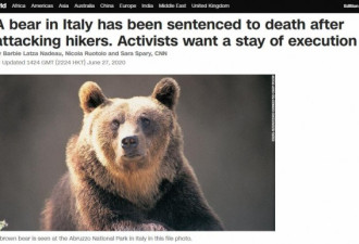 意大利野熊袭击行人 1.7万人请愿刀下留熊