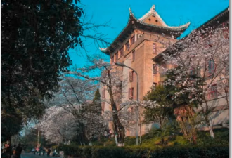方方：武汉大学，世界上最美丽的大学