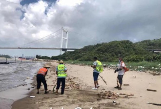 东莞海滩惊现万只猪蹄和动物内脏铺满沙滩