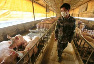 中国再现新品种流感病毒 专家示警恐大爆发