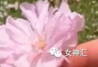 【爆笑】无意间偷看了男朋友的手机相册...