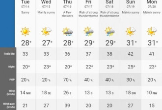 多伦多本周再迎42℃极端高温！还有强雷暴