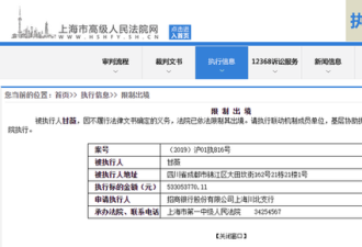 甘薇被限制出境：5.3亿元 与贾跃亭两年半未见