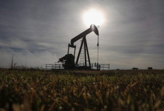 国际石油需求复苏让加拿大油价开始回升