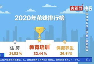 2020年中国人“花钱”排行榜，你的钱花哪了？