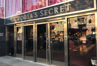 多伦多30年玩具连锁店破产 DavidsTea也要关了
